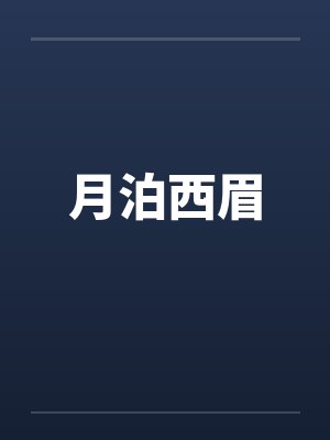 月泊西眉的作品没有我的冬天 你冷不冷封面