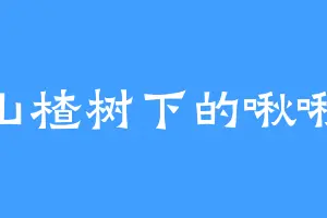 山楂树下的啾啾