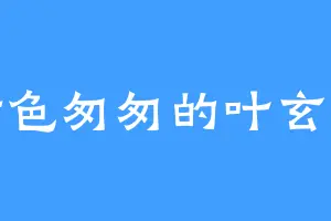行色匆匆的叶玄右
