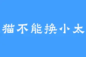 狸猫不能换小太子