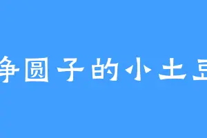 挣圆子的小土豆