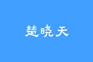 楚晓天