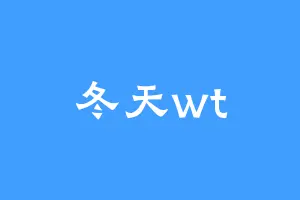 冬天wt