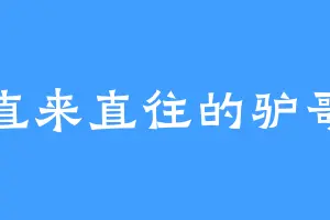 直来直往的驴哥