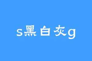 s黑白灰g