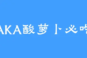 AKA酸萝卜必吃