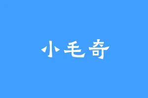 小毛奇