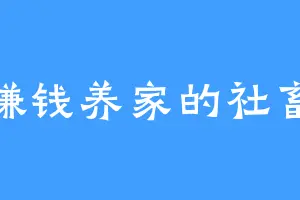 赚钱养家的社畜