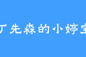 丁先森的小婷宝