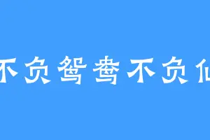 不负鸳鸯不负仙