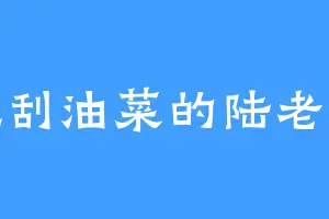 爱吃刮油菜的陆老太太