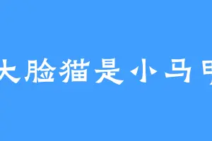 大脸猫是小马甲