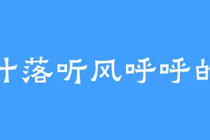 叶落听风呼呼的