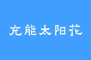 充能太阳花