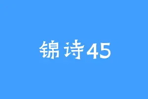 锦诗45