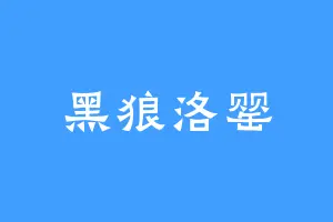 黑狼洛罂