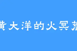 黄大洋的火冥荒