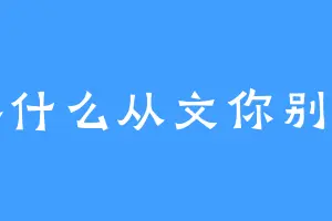 弃什么从文你别管