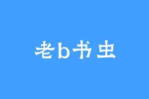 老b书虫