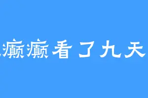 疯疯癫癫看了九天九夜