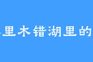 库里木错湖里的鱼