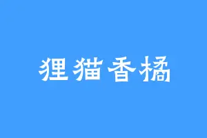 狸猫香橘