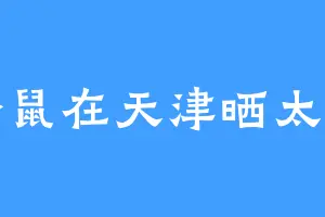 松鼠在天津晒太阳