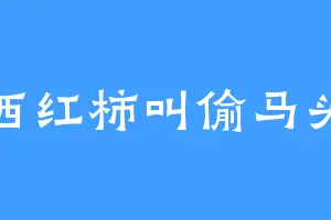西红柿叫偷马头