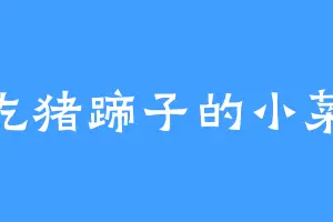 爱吃猪蹄子的小菜花