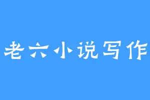老六小说写作