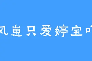风崽只爱婷宝吖