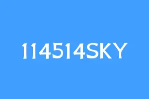 114514SKY