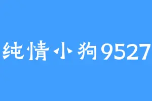 纯情小狗9527
