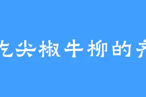 爱吃尖椒牛柳的齐皇