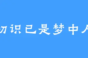 初识已是梦中人