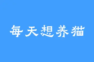 每天想养猫