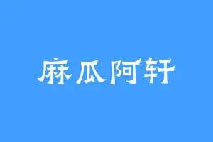 麻瓜阿轩