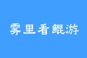 雾里看鲲游