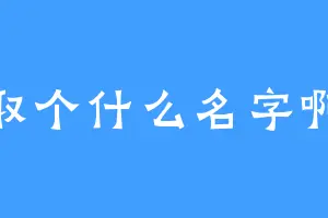 取个什么名字啊