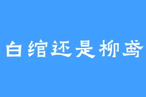 是白绾还是柳鸢鸢
