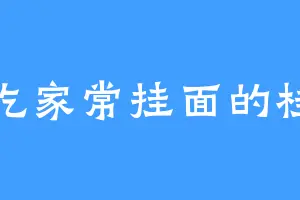 爱吃家常挂面的桂娘