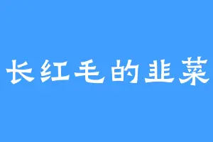 长红毛的韭菜