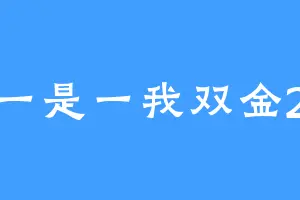 一是一我双金2