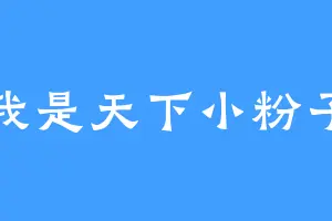 我是天下小粉子