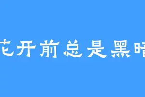 花开前总是黑暗