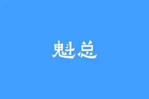 魁总