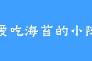 爱吃海苔的小陈