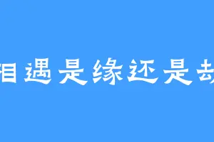 相遇是缘还是劫