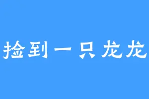 捡到一只龙龙