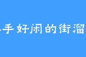 游手好闲的街溜子